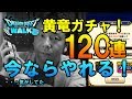 【ドラクエウォーク15!】今ならやれる!黄竜装備登場!120連ガチャ!懲りずに課金でツメを欲した男