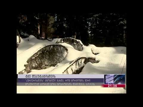 ბაკურიანში ხალხს მიწა ჩამოართვეს და „ქართული ოცნების“ დეპუტატზე გადააფორმეს