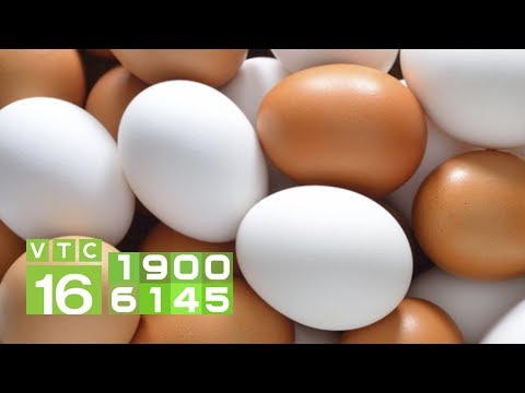 Video: Bao Nhiêu Trứng Sống được Bảo Quản ở Nhiệt độ Phòng