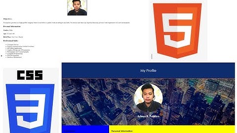 Cascading Style Sheets (CSS) | Part 2 | Designing an HTML Document | ITS 300 - NORSU Bais Campus