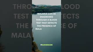 How can malaria be diagnosed? #MalariaDiagnosis #BloodTest #MalariaTesting  #MalariaScreening