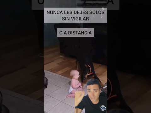 Para el perro