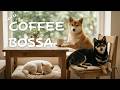 【BGM】柴犬まる COFFEE BOSSA #1 | Maru Official Audio