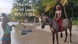 The Vlog, Horses On The Beach, Saint Lucia , 9112022, Gd Films