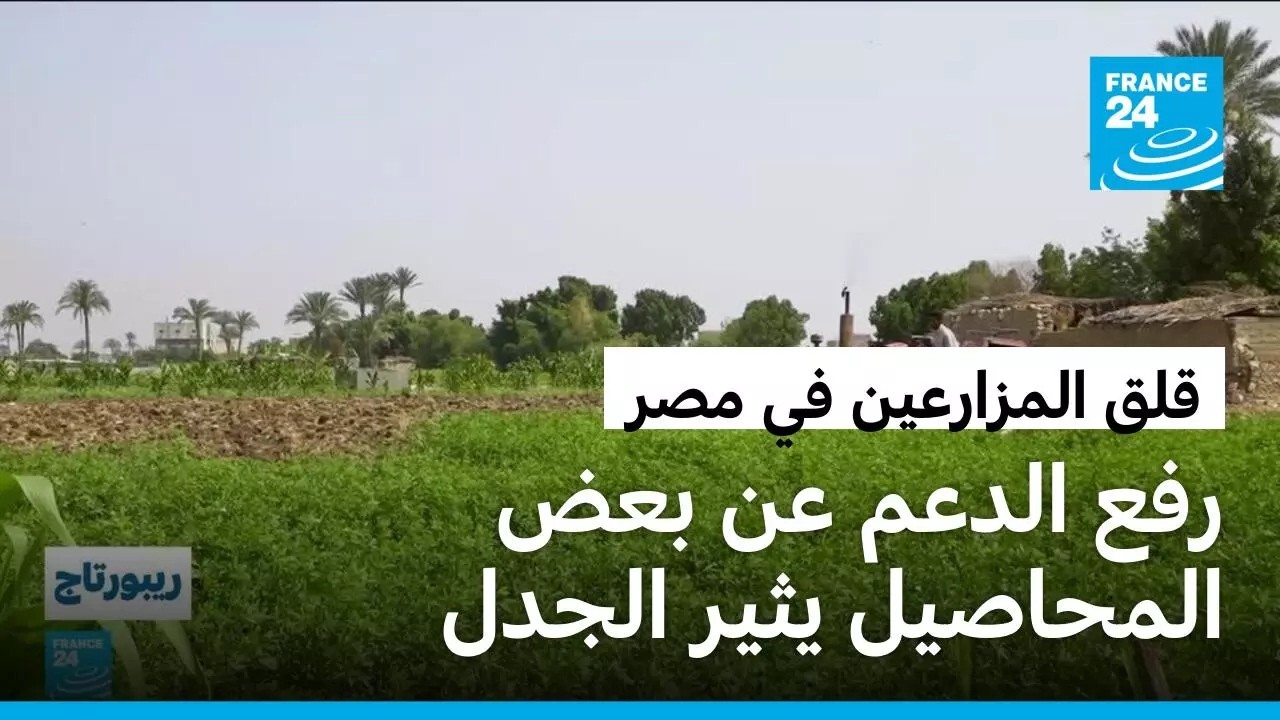 ���.. ����� ����� ������� ���� �������� ���� �� ����� ������� ����� ��� ���������
 - نشر قبل 16 دقيقة