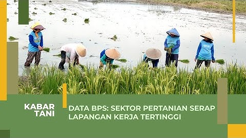 Banyaknya penduduk yang bekerja di bidang pertanian didukung oleh