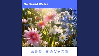 Serene Contemplation of Daylight - No Brand Water
