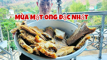 THU HOẠCH MẬT ONG NGUYÊN CHẤT/ẨM THỰC TÂY BẮC