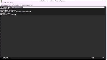 Docker Entrypoint, Setting Up and Tearing Down Containers