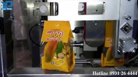 Cân định lượng túi đứng | Đức Phát