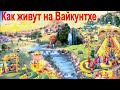 Как живут на Вайкунтхе