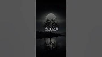 اكتب شيء تؤجر عليه 😴💚 قران كريم | ياسر الدوسري