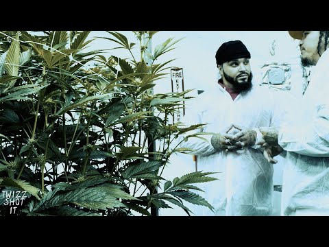Albee Al - DRUMLINE (Official Music VIdeo)