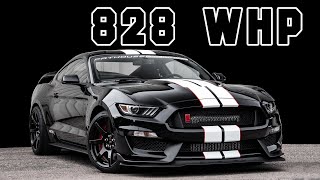 2019 Shelby GT350R 800R Twin Turbo Dyno Testing | 828 whp