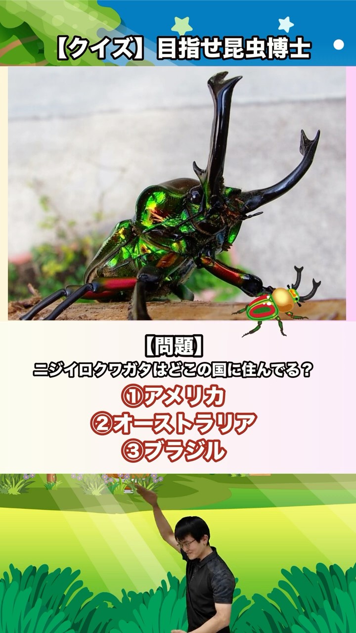 野生のニジイロクワガタはどこの国に住んでいるでしょうか？｜【クイズ