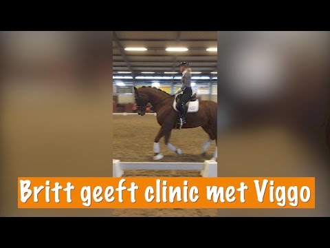 BRITT GEEFT CLINIC MET VIGGO | PaardenpraatTV