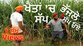 indian punjabi farming baba Ram Rahim Singh da Bhagat kala part 1