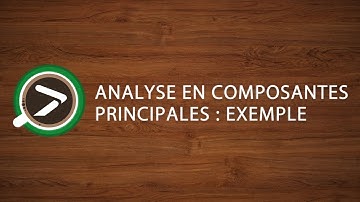 #11 Analyse en Composantes Principales : Exemple dans Excel avec XLSTAT