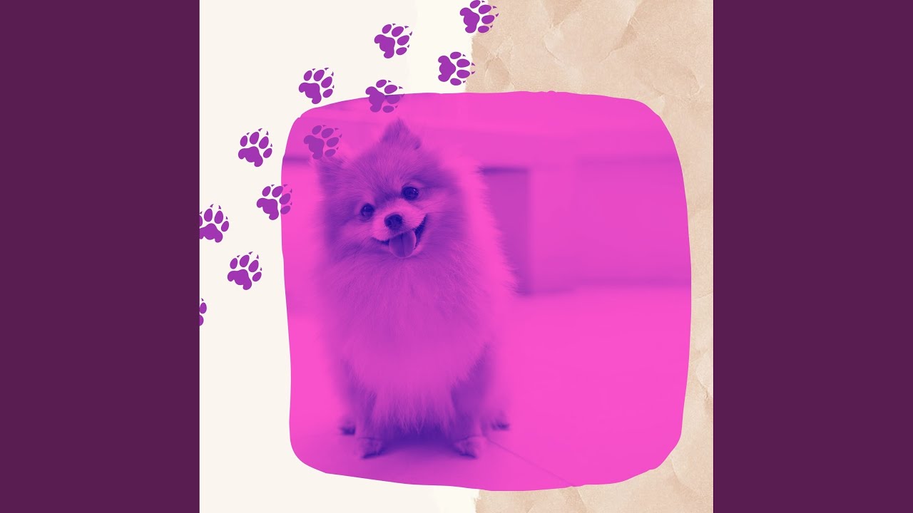 Modish Music for Dream