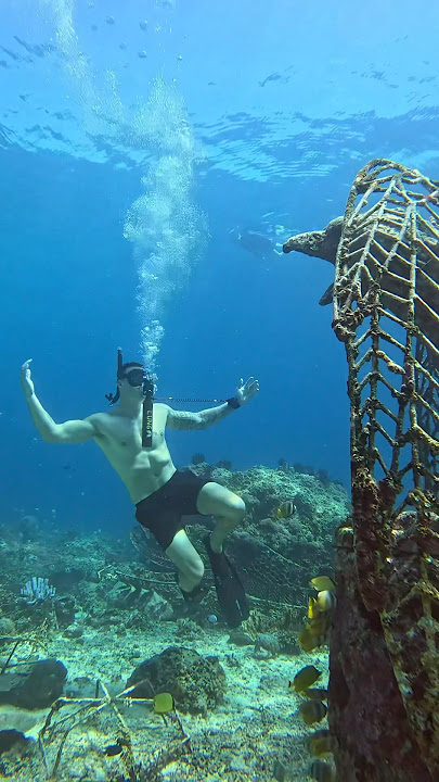 Soar beneath the surface 🦅 #underwater #beach #ocean #fyp #reels #trending