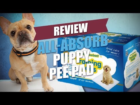 Video: SuperZoo Ziua 3 - Asta e un Wrap!