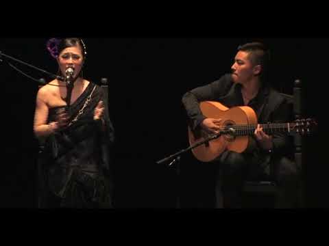 【フラメンコ新人公演エキシビジョン】Akari Yamada 2017 ANIF exhibición@tutubemoncha