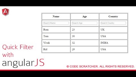 How to Create Angular JS Basic Filter