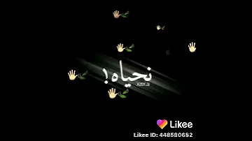 اغنية انت سبابي عيشتيني في دوم 