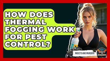 How Does Thermal Fogging Work For Pest Control? - Insects and Invaders