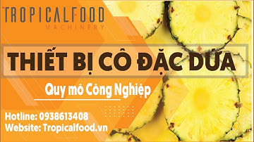 Cung cấp đồng bộ dây chuyền thiết bị sản xuất nước trái cây cô đặc -  Tropical Food Machinery Srl