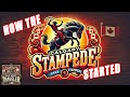 The Untold Story of the Calgary Stampede – How Cowboy Changed Rodeo Forever #rodeo #calgarystampede