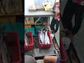 hasil tangkapan nelayan #nelayan #ikantenggiri #tangkapannelayan