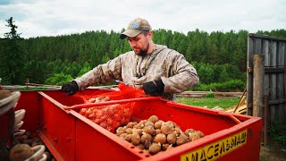 ЖИЗНЬ В ГЛУБИНКЕ | У ВСЕХ ВЗОШЛА А МЫ ТОЛЬКО САЖАЕМ | ПОСАДКА КАРТОФЕЛЯ НА УРАЛЕ