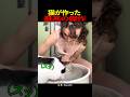 猫が作った最高の傑作