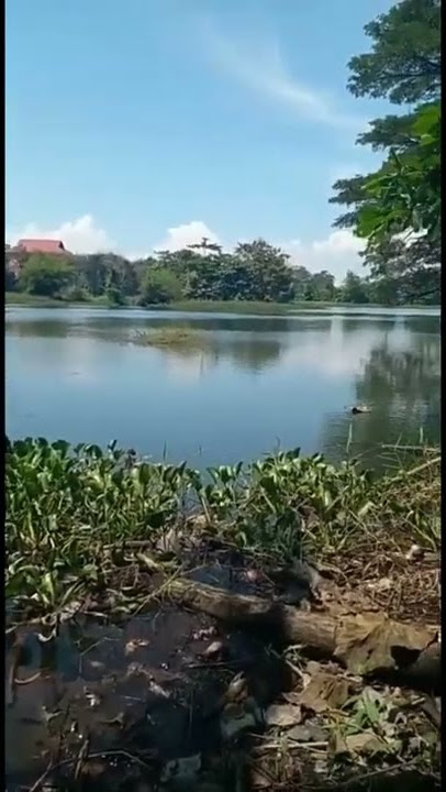 Mancing ambyar terbaru 2022