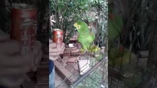 Lindo, até as Caturras são contra ao álcool, beber até cair