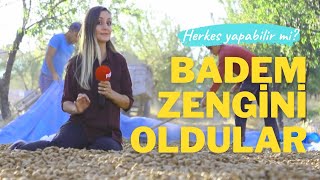 Badem Yetiştiriciliği Kazandırdı! Kurdukları Badem Ağacı Bahçesi Köye Umut Oldu