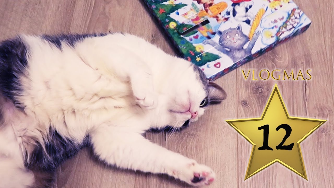 Sprawdzian 2 Do Rozdziału Powroty Do Domu Powroty do domu i szczęśliwa Stefania 🎄 VLOGMAS 12 - YouTube