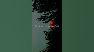 قَوَارِيرَا مِن فِضَّةٍ قَدَّرُوهَا تَقْدِيرً القارئ الشيخ ياسر الدوسري #قرآن #اكسبلور #المصحف