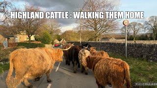 LIVESTOCK RESHUFFLE! It’s all go! by Dale Farm 8,186 views 2 months ago 14 minutes, 11 seconds