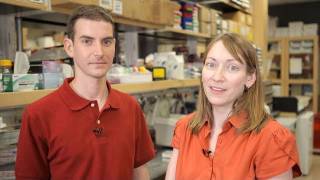 Stem Cells in Lung Cancer