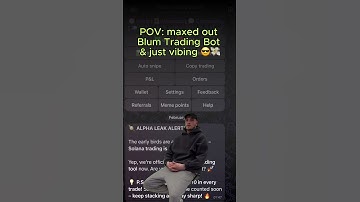 POV: Maxed out Blum Trading Bot
