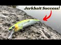 Choosing The Correct Jerkbait Is Essential To Maximizing Success!