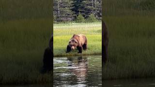 He Wasnt Thinking About The Water