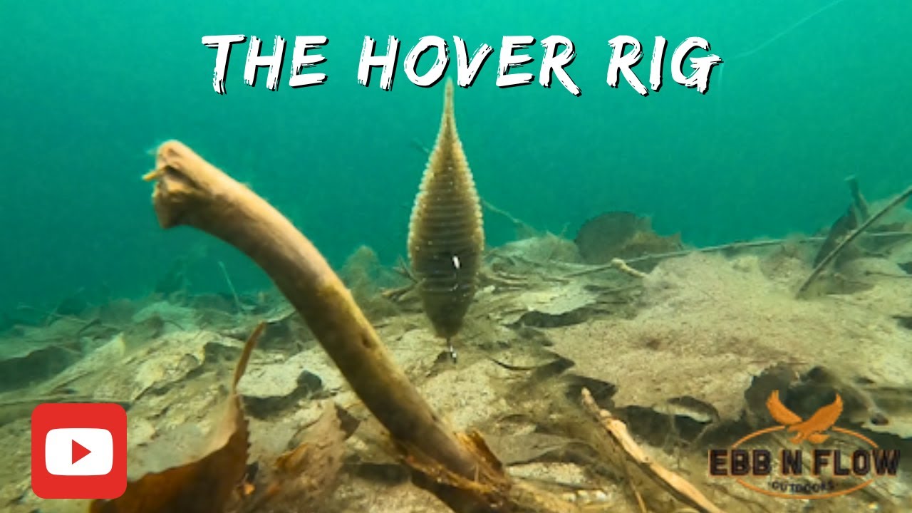 Innovative Bass Fishing Techniques: The Hover Rig Explained! - YouTube
