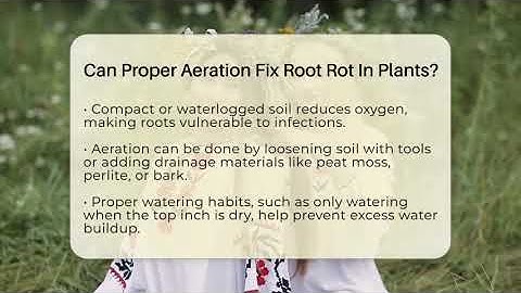 Can Proper Aeration Fix Root Rot In Plants? - The Plant Enthusiast