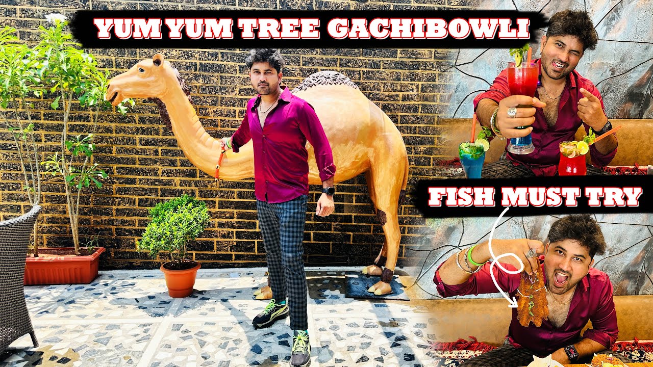Mandi introduced to Hyderabad | By Yum Yum Tree | Gachibowli Hyderabad | @SpicyKarthik