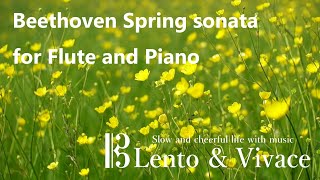 ベートーベン「バイオリンソナタ第5番（春）」抜粋フルート独奏編曲版  Betthoven Spring Excerpt arrange for Flute