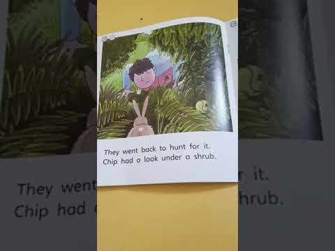 The Good Luck Stone The Good Luck Stone