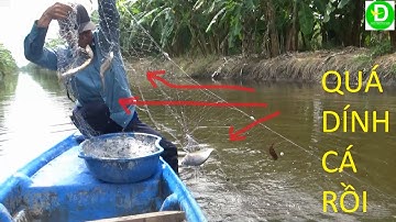 312   Giăng Lưới Dưới Ao Đầy Cá - Trên Bờ Là Rừng Chuối ( P 2 )| Đất Phương Nam